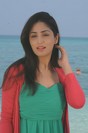 Yami Goutham New Photos